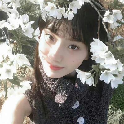 兄弟的雀巢